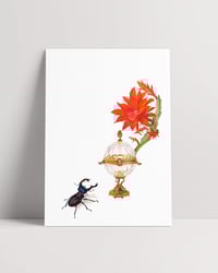 Image 2 of DESEO O NECESIDAD