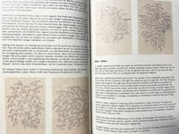 Image 4 of  The Sectrets of Irezumi BOOK 