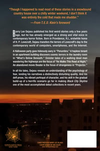 Image 2 of Black City Skyline and Darker Horizons by Barry Lee Dejasu