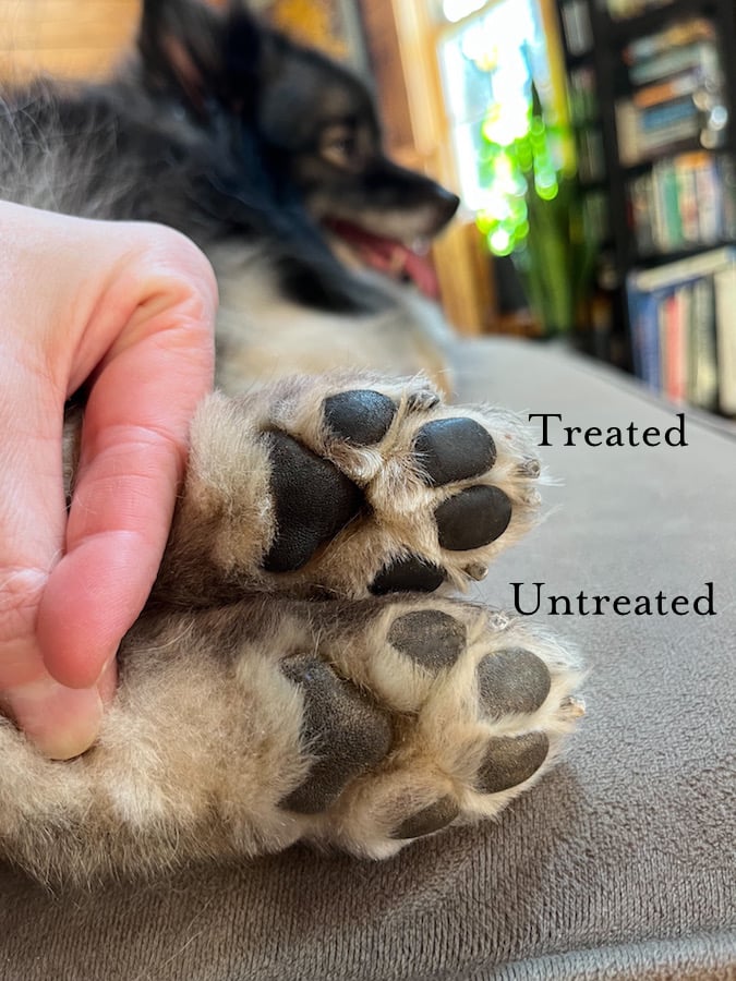 Image of NEW!!  Lanolin-Rich Paw & Hand Balm