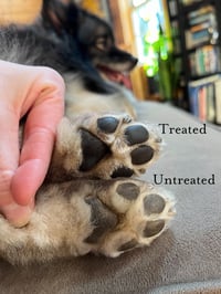 Image 3 of Lanolin-Rich Paw & Hand Balm