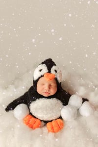 Image 3 of Fluffy Little penguin potato pouch and bonnet