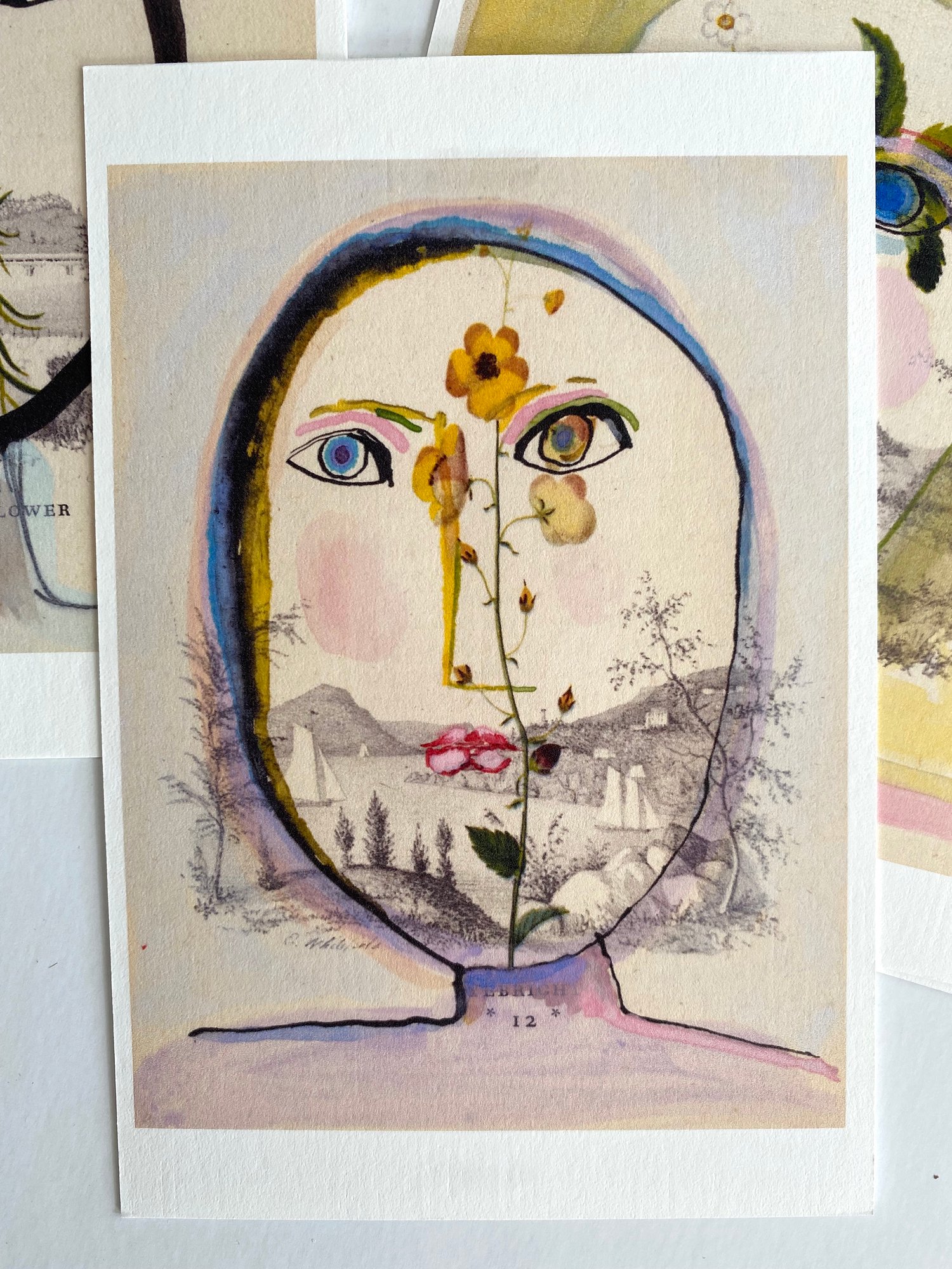 Image of 'Wildflower Heads' Limited Edition Box Set