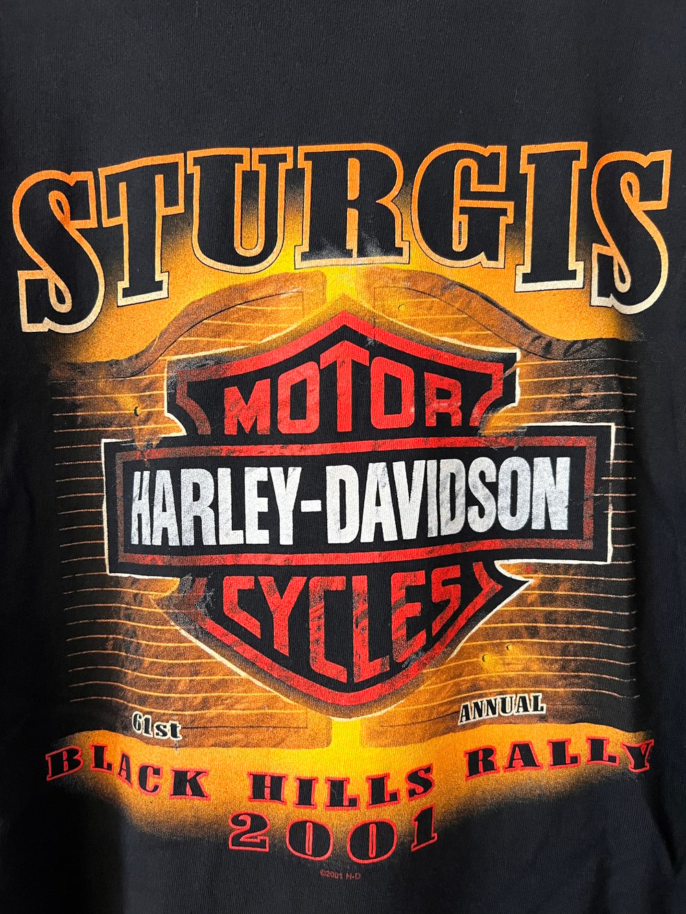 Y2K ‘01 Sturgis Black Hills Rally Tee (XXL)