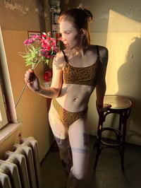 Image 1 of Brown Leo Cotton Bralette