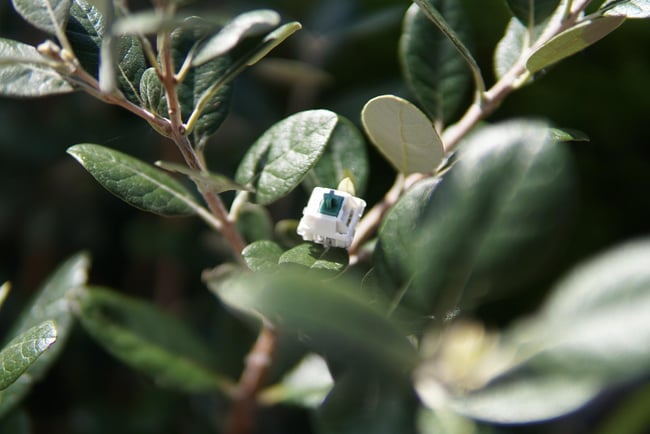 Builtbynim "Original" Linear Switch