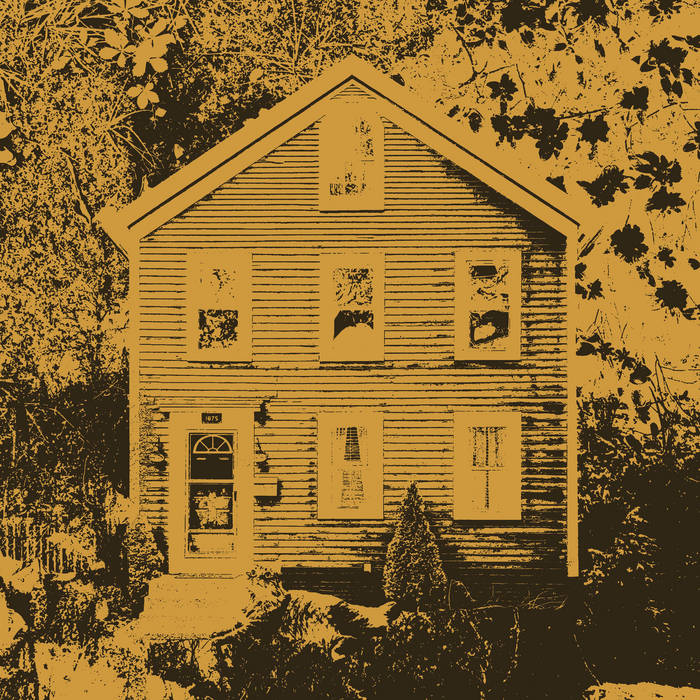 Different Kitchen Records — Gold Dust The Late Great Gold Dust LP