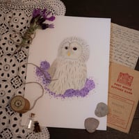 Ural Owl Framed Original Painting 
