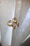 Subtle Elegance Earrings