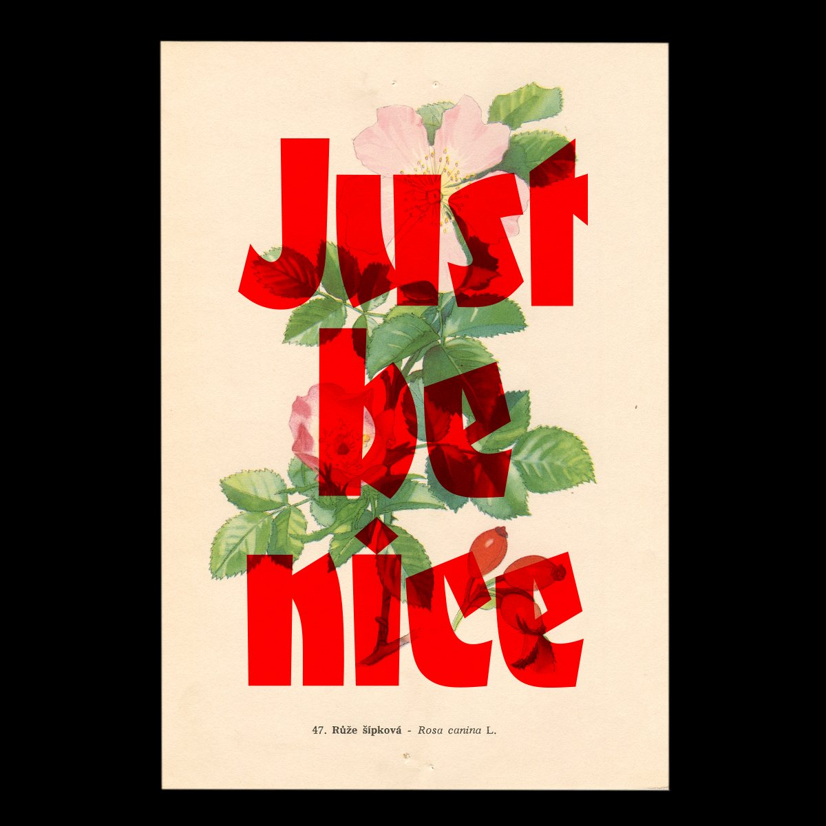 Image of Just be nice