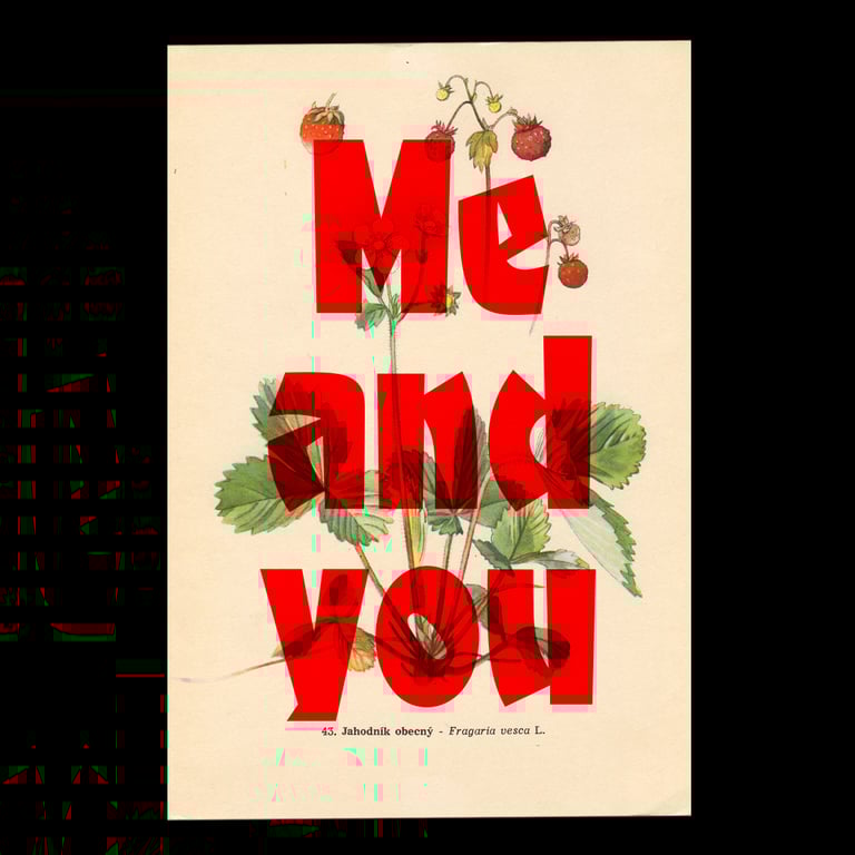 Me and you