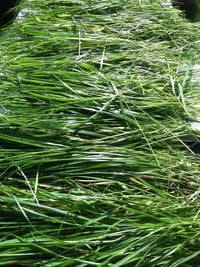 Image 6 of Sweet Energy Botanical Aromatic Mist