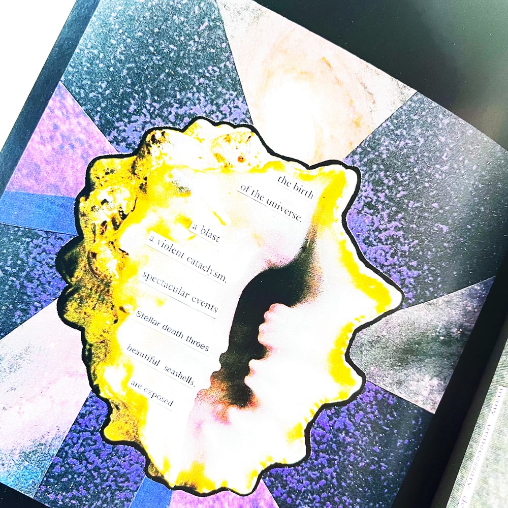 THE VENUS ATMOSPHERE: COLLAGE POEMS by Emma Filtness