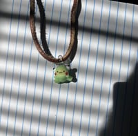 frog boi