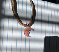 crying crescent 