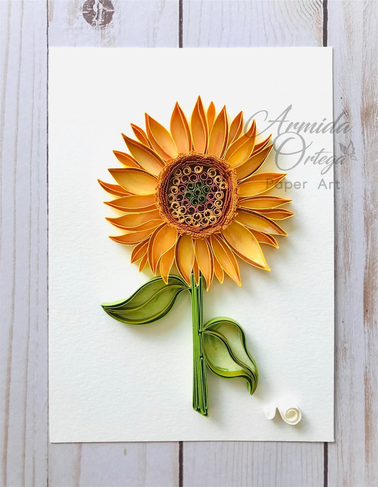 Image of THE BLONDE SUNFLOWER