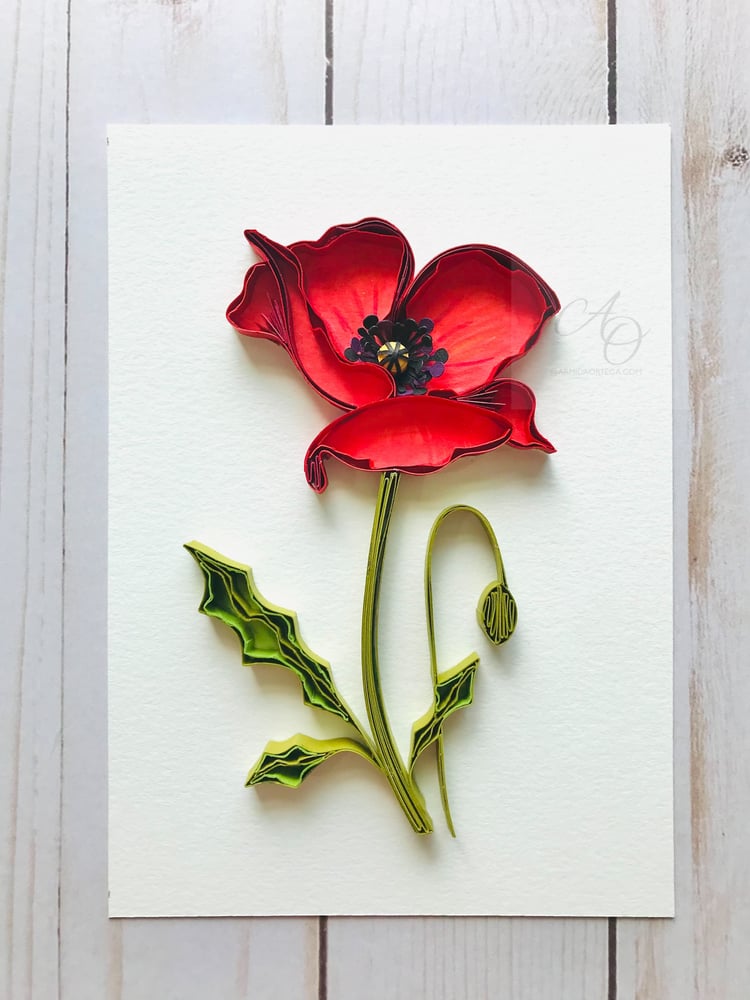 Image of RED POPPY