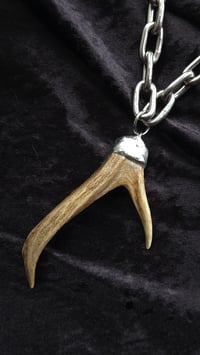 Image 3 of Deer antler chunky necklace