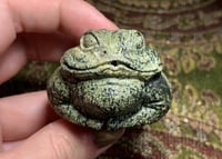 Image 1 of serpentine froggo