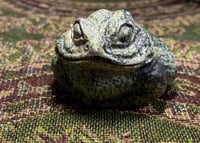 Image 4 of serpentine froggo