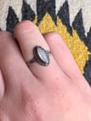 Sterling & Petite Moonstone Ring (7.25)