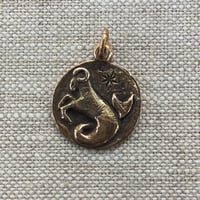 Image 1 of Capricorn Charm by Rachel Salome Jewelry