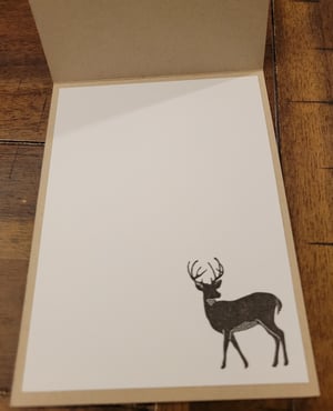 Image of Moose Holiday