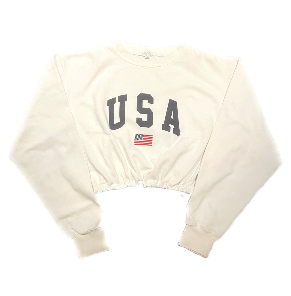 Image of Reworked USA Cropped Hoodie