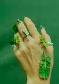 Image 2 of ELÈ HIJAU