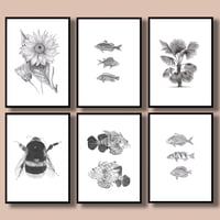 Image 2 of Set of 6 Giclee prints