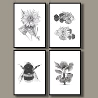 Image 2 of Set of 4 Giclee prints