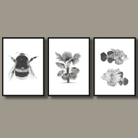Image 3 of Set of 3 Giclee prints