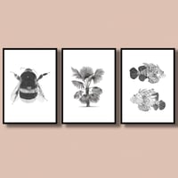 Image 2 of Set of 3 Giclee prints
