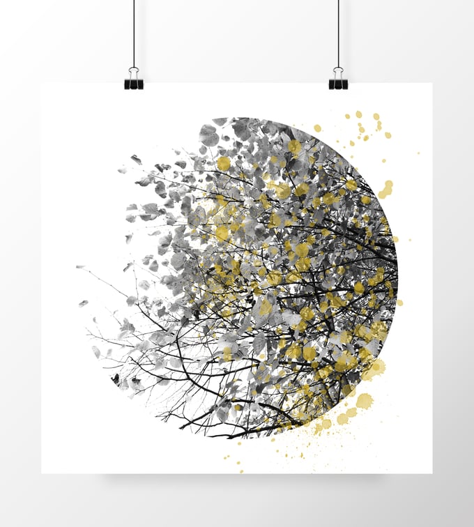 Image of Autumn Leaves
