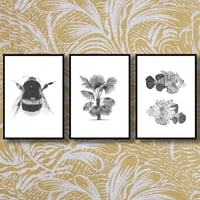 Image 4 of Set of 3 Giclee prints