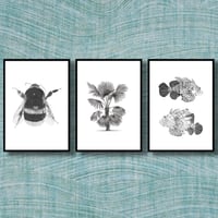 Image 1 of Set of 3 Giclee prints
