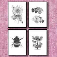 Image 1 of Set of 4 Giclee prints