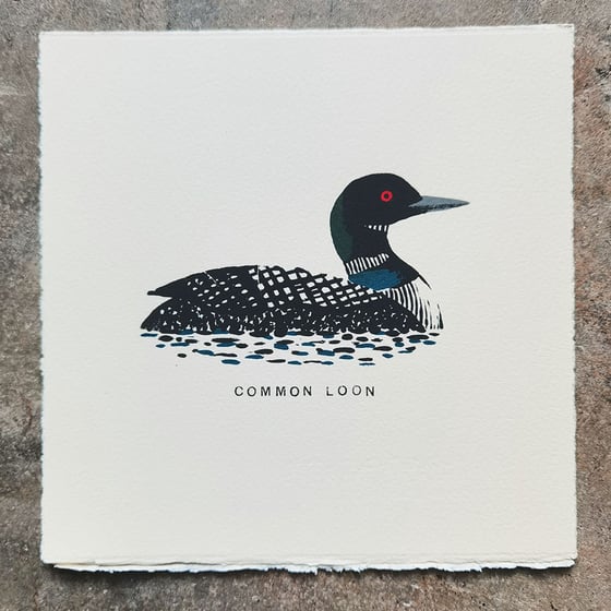 Image of Common Loon