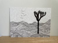 Joshua Tree