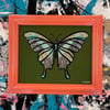 Butterfly- Peach- Glass Painting