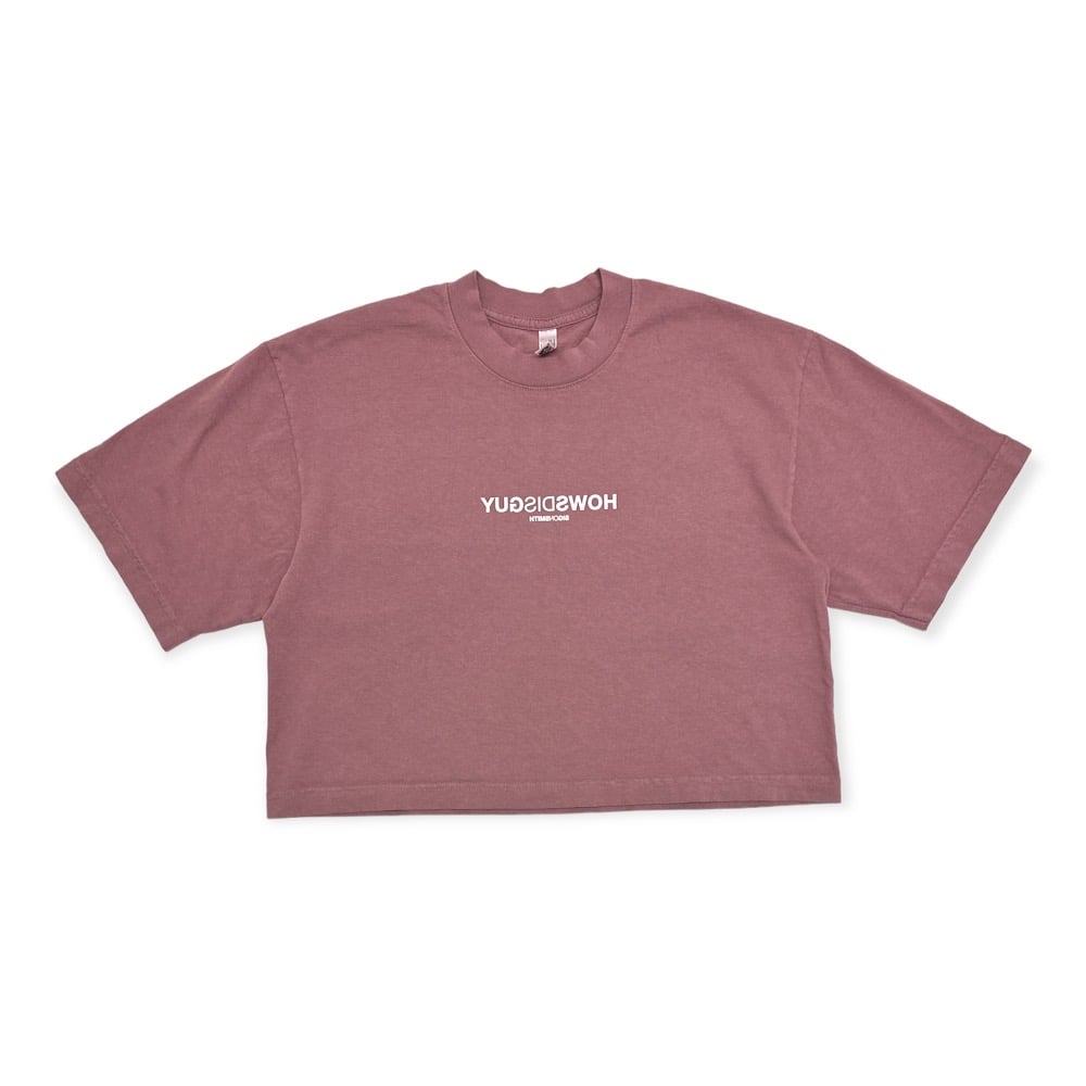 Image of HOWSDISGUY // SIGONSMITH Womens Crop T