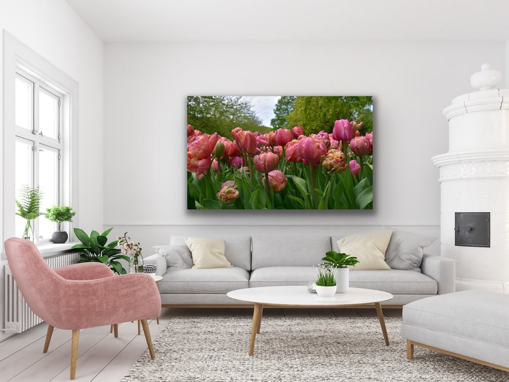 Image of Double tulips