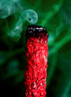 Dragons Blood Sage 