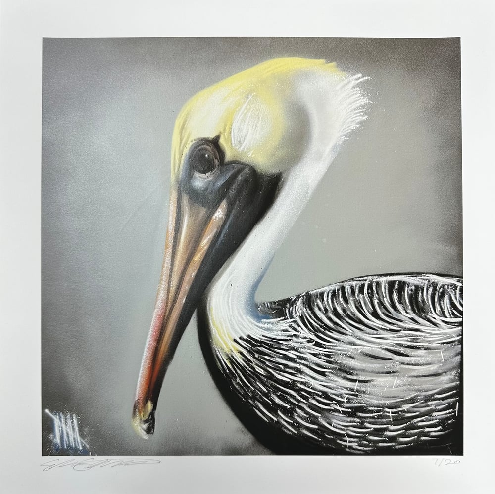 Image of Pelican Print