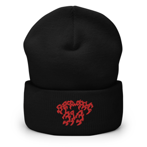 313 BEANIE
