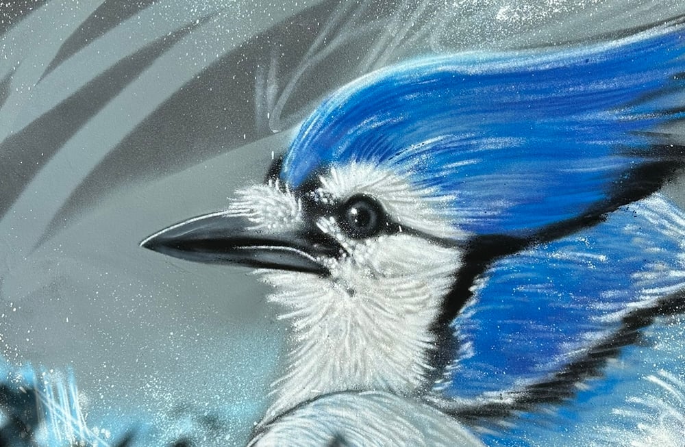 Image of Blue Jay Print