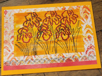 Image 1 of Orange Sunset Flowers