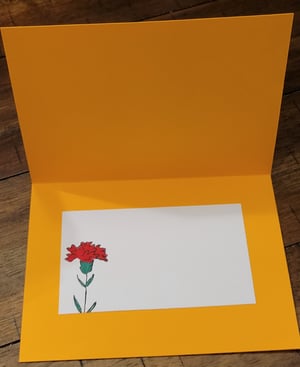 Image of Orange Sunset Flowers