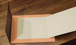 Image of Brown Butterfly