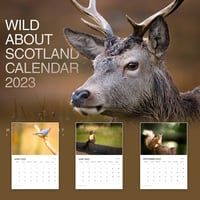 Wild About Scotland Calendar 2023